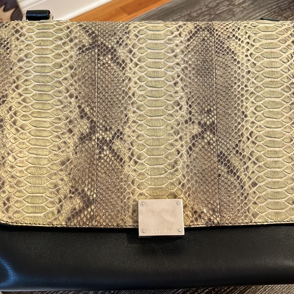 Trapèze Python Céline Bag - Picture 2 of 7